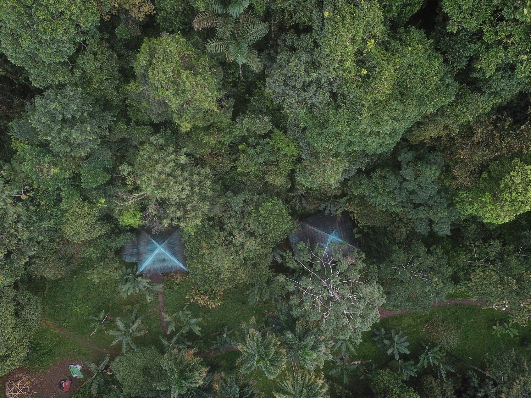 Aerial view of rainforest and cabin roofs at Protopia Community near Lake Arenal, Costa Rica